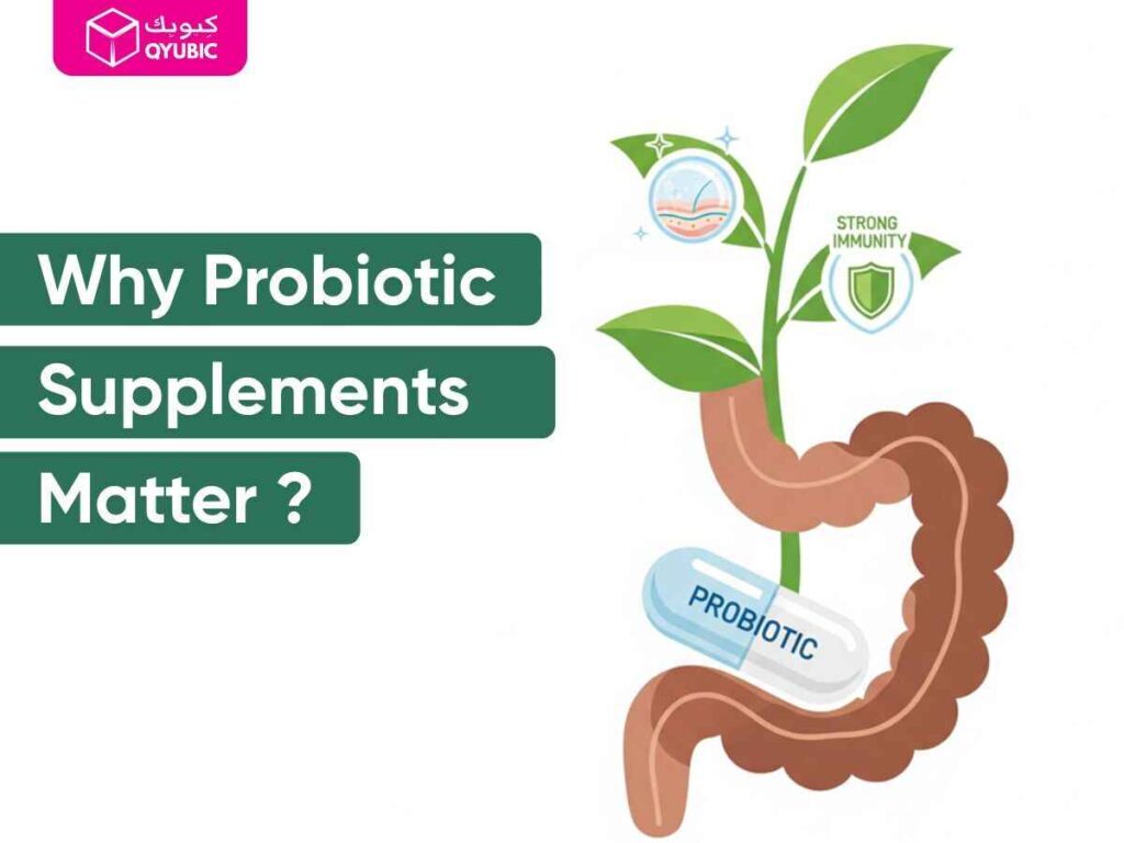 Illustration asking 'Why Probiotic Supplements Matter?', depicting a probiotic capsule entering the gut, with leaves growing to symbolize strong immunity and healthy skin. This image emphasizes the significant health benefits of probiotic supplements for gut health, immunity, and skin.